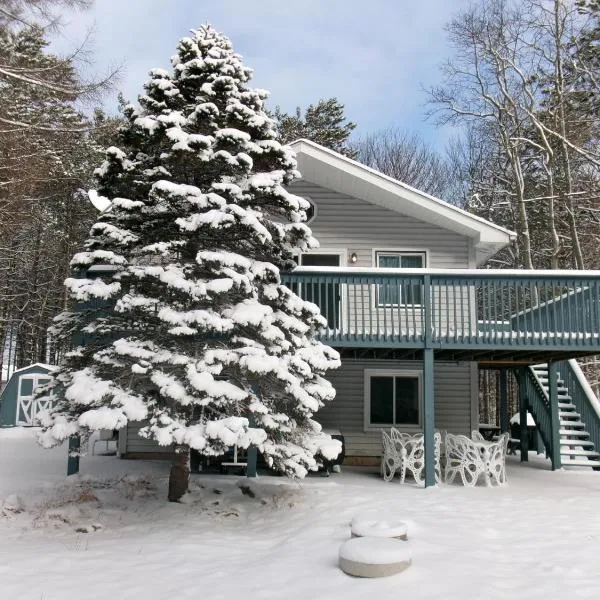 Evergreen Escapes 4 BR with Game Room, Firepit near Kalahari and Camelback, Hotel in Long Pond