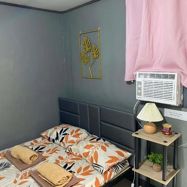 Frogman inn, hotel in Puerto Princesa City