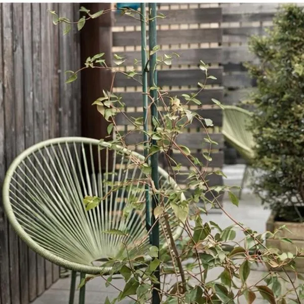 S'Matt Bob, hotel en Feldkirch