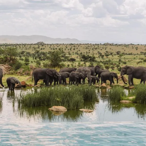 Four Seasons Safari Lodge Serengeti, ξενοδοχείο σε Banagi