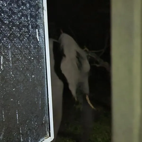 Holiday Home Kariba, hotel din Kariba