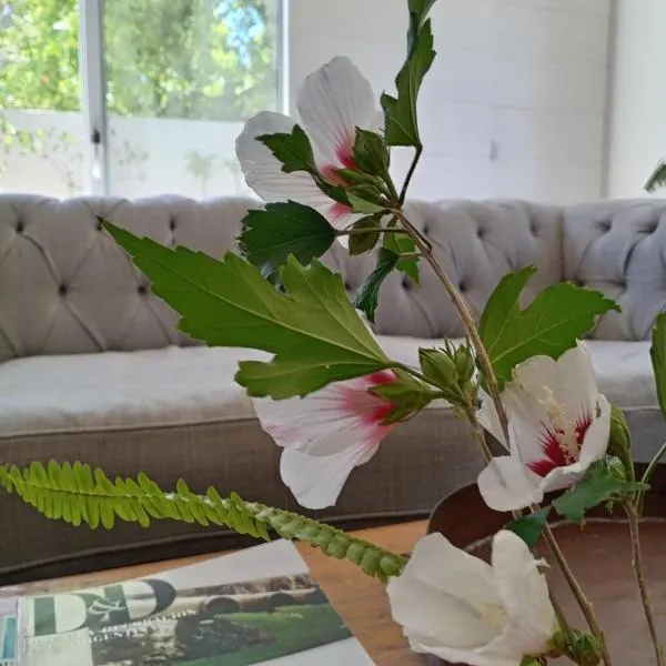 Casa Centrica en Colonia - Vistas Abiertas y Patio Natural, hotel din Colonia del Sacramento