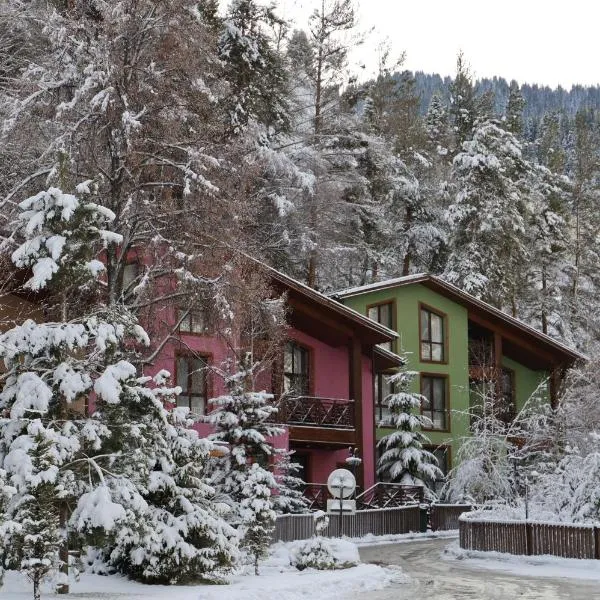 Oi Qaragai Mountain Resort – hotel w mieście Besqaynar