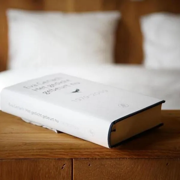 Poëziehotel Surplace - 15 min van Pairi Daiza & industriezone Ghislenghien, hotel u gradu 'Bever'