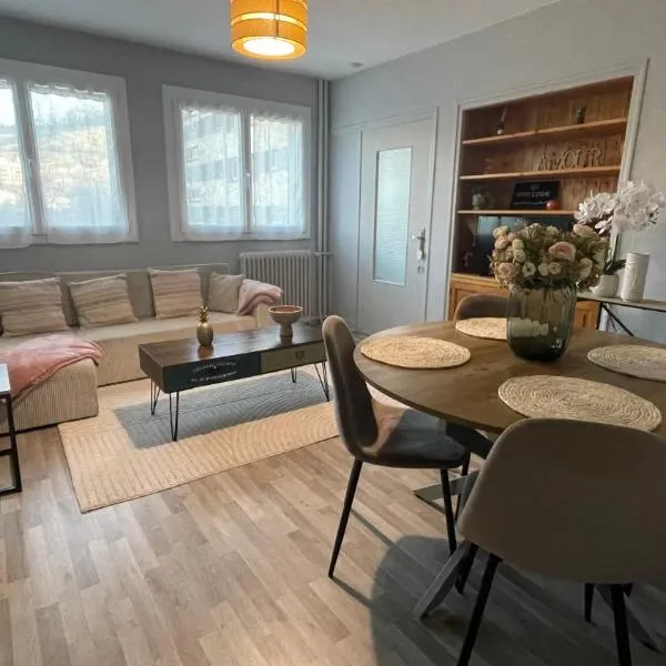 Appartement à 2 pas du centre, 2 chambres, 4 a 6 personnes, parking, Netflix, hotel Aurillacban