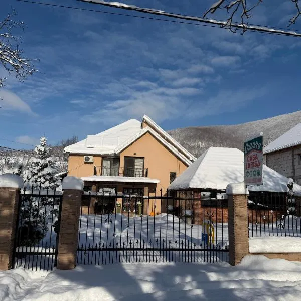 Casa Larisa – hotel w mieście Chişcău