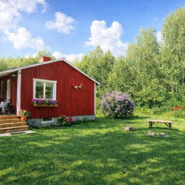 gemütliches Ferienhaus - Höga Kusten Region, hotel in Ramsele