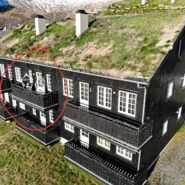 Apartment Røldalsfjellet, hotell sihtkohas Håra