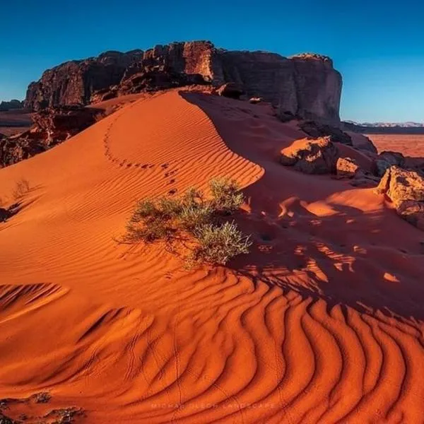 Milky Way Nights Camp, hotel di Wadi Rum