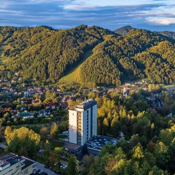 Hotel Pieniny Grand Wellness & SPA - Destigo Hotels, hotel em Szczawnica