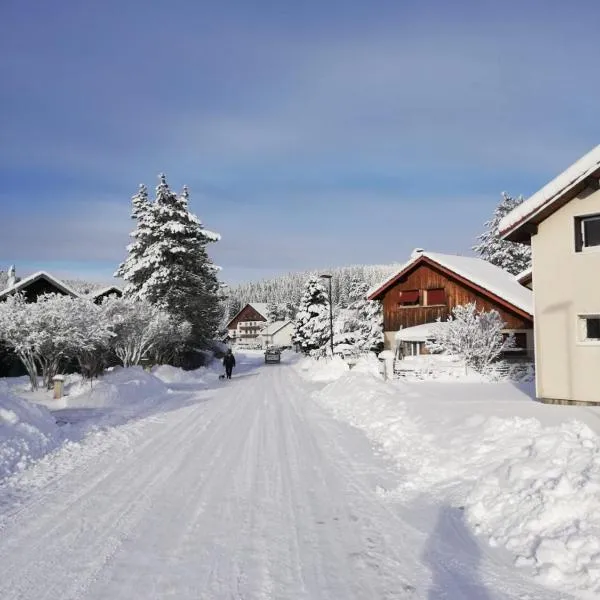 Le Chalet des Pas Sages, Hotel in Longevilles-Mont-dʼOr