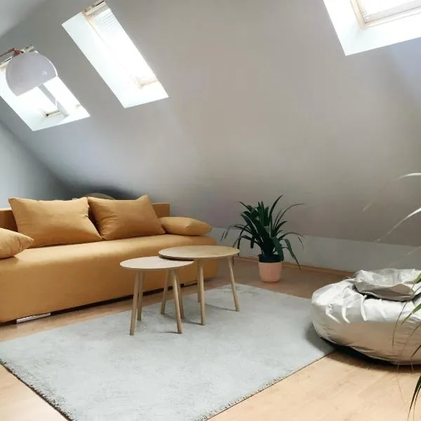 Altavista mountain apartment、サモコフのホテル