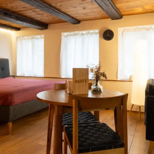 MANY'S historical city central APARTMENTS, Hotel in Zürich