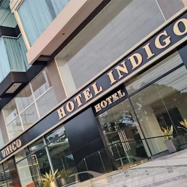 Hotel Indigo, hotel di Barinas