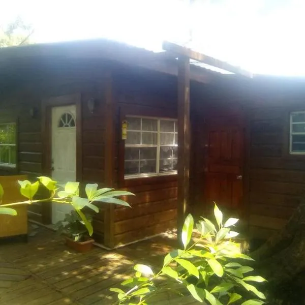 Cabaña-estudio selvatica, Hotel in Utila