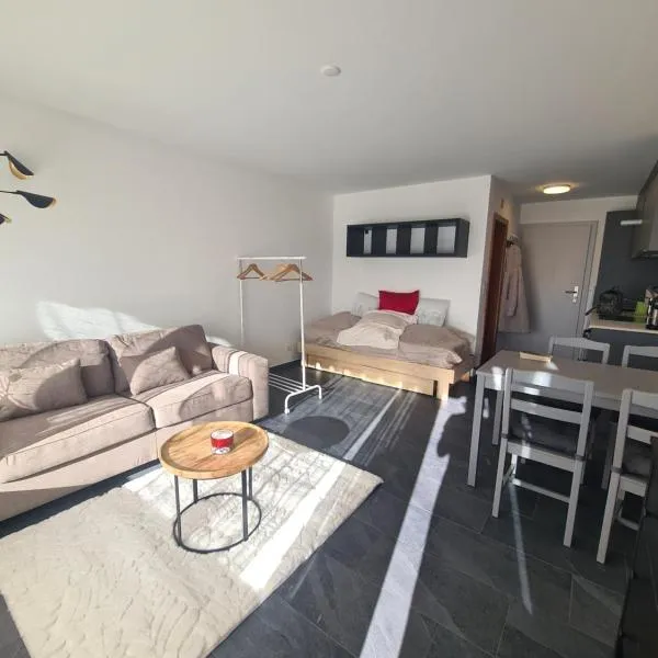 Studio rénové Ovronnaz chalet Orion, отель в Овронне