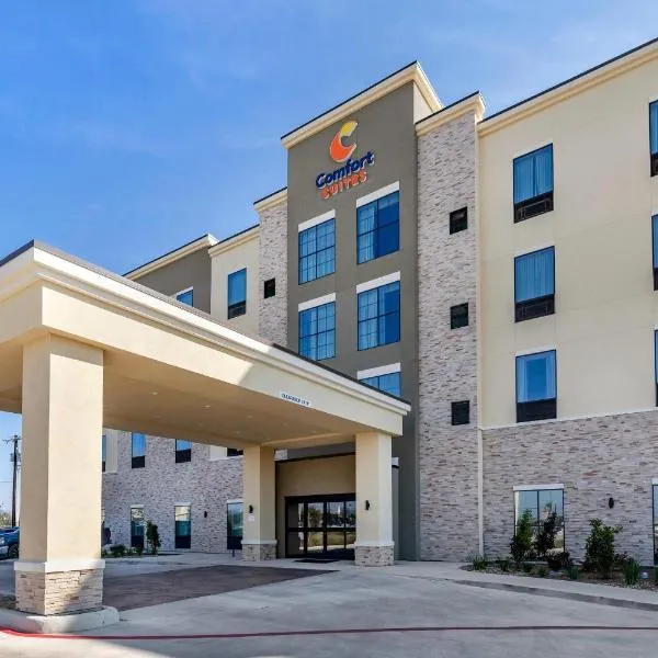 Comfort Suites San Antonio Ft Sam Houston-SAMMC Area，位于圣安东尼奥的酒店