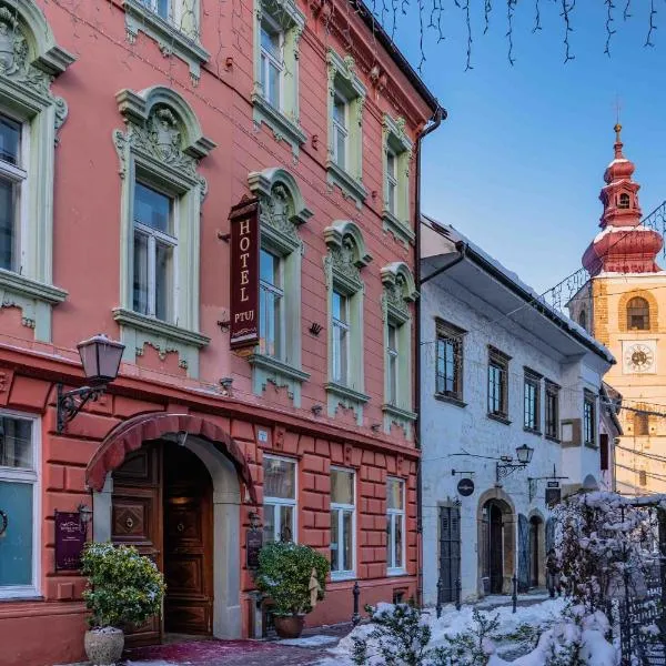 Hotel Ptuj, hotel v destinácii Ptuj