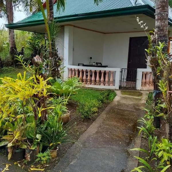 Jupiters Garden Cottages,Lawa-an的飯店