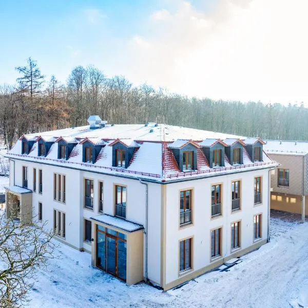 Waldhotel Hohe Sonne Eisenach，位于艾森纳赫的酒店