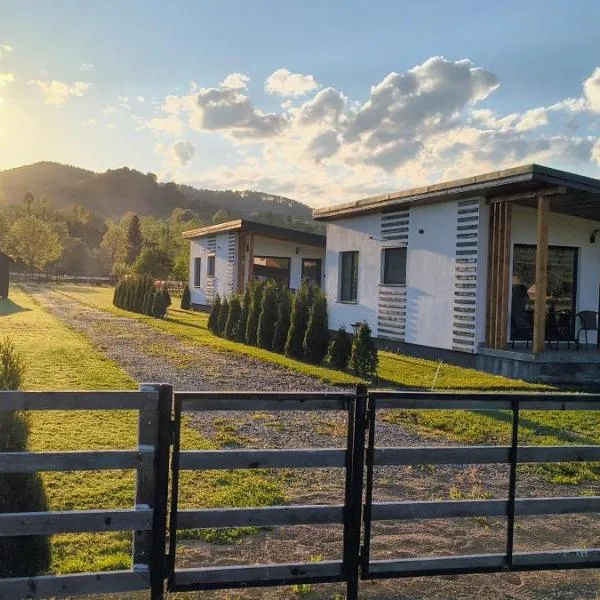 F A N BunGALow Vama Buzăului，位于布泽乌河畔瓦马乡的酒店