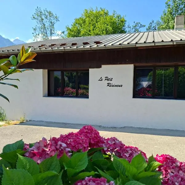 Le petit résineux, hotel u gradu 'La Chambre'