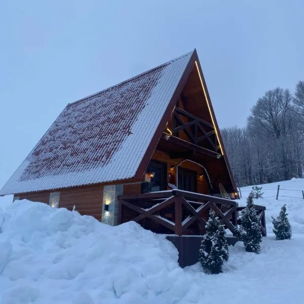Mountain house Drveni Raj: Žabljak şehrinde bir otel