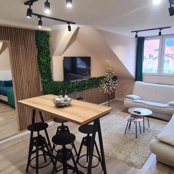 SA CITYCENTER Apartments, хотел в Сараево