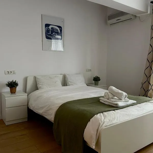 Kiseleff Park Studio, hotel din București