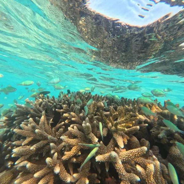 Praveg Atoll's Thinnakara Lakshadweep, hotell sihtkohas Agatti