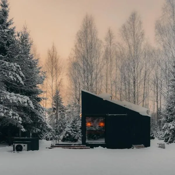 Briežu Stacija Forest Cabin with Hot Tub, hotel en Līgatne