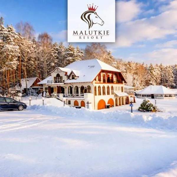 Malutkie Resort, hotel en Radomsko