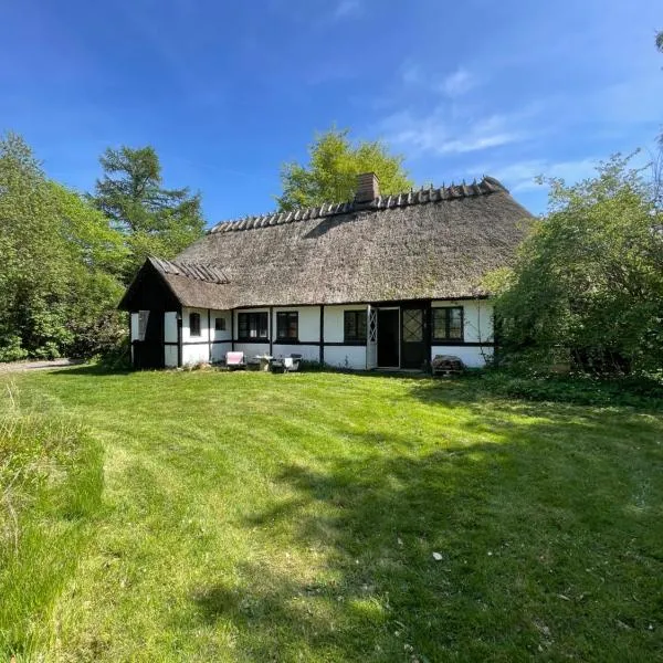 Guest house Æbelnæs, Møn, hotelli kohteessa Stege