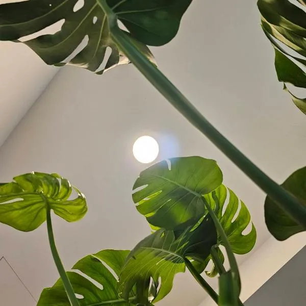 meet happiness, hotell sihtkohas Hsia-pu-hsia