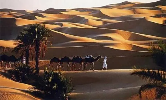 Djnane Elhwass timimoun, хотел в Timimoun