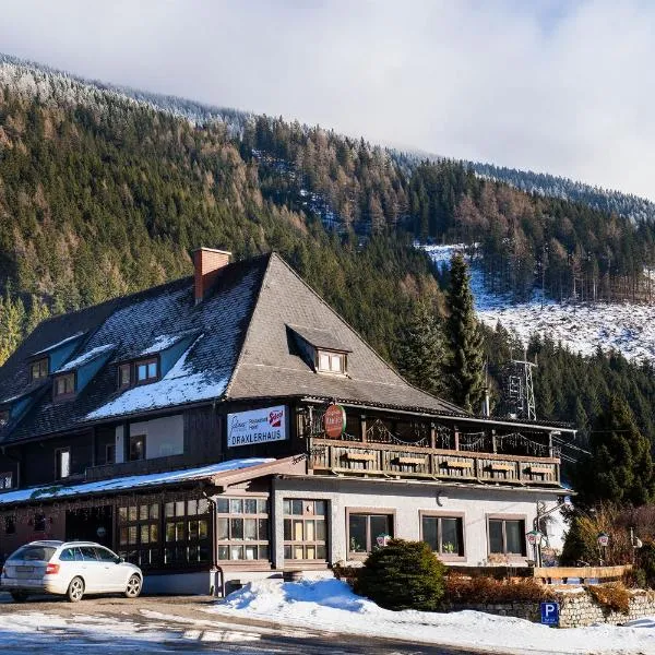 Draxlerhaus, hotel en Hohentauern