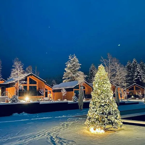 Phoenix Medical Resort，斯辛訥查的飯店