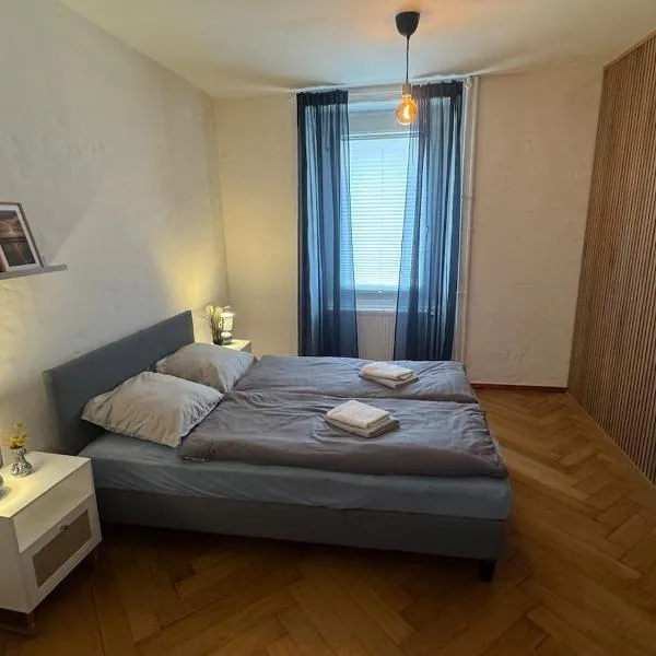 Artsy und Cosy nahe Norvatis Campus in Basel St Johann, hotel Bázelben