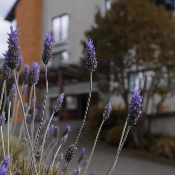 Hotel Gramado Interlaken, hotel a Gramado