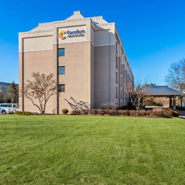 Comfort Inn & Suites Somerset - New Brunswick, hotell i Somerset