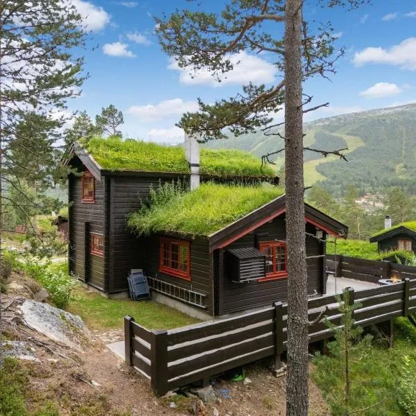 Charming cabin by Hallingskarvet ski center,Holo的飯店
