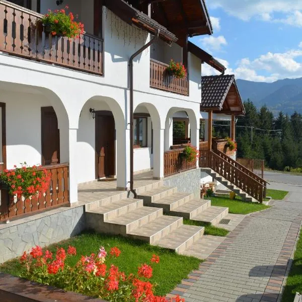 Pensiunea Encian, hotel v destinaci Colibiţa