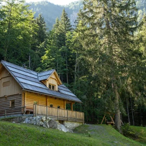 Alpine Loghouse Planšarska bajta Matkov Kot, hótel í Solčava