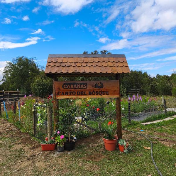 Canto del Bosque, Castro