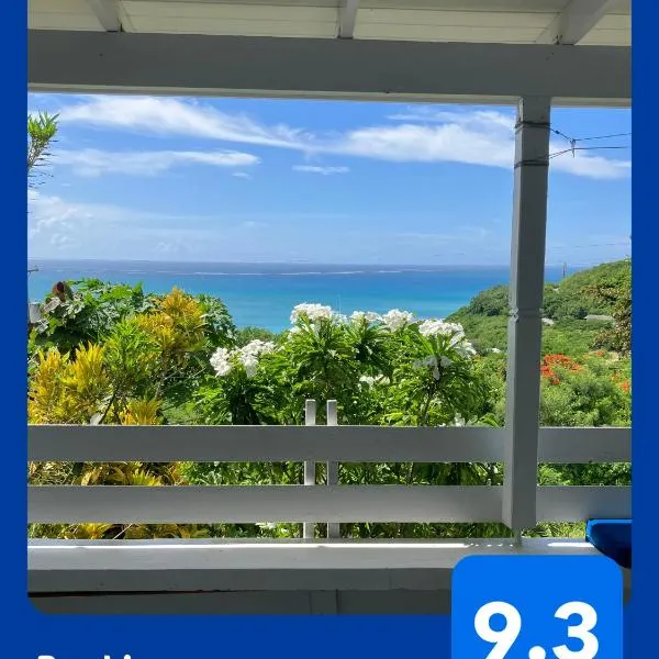 Paradise View at Halcyon Heights l Stunning Ocean View 1BR l 10 minute walk to the Beach, hotel v destinaci Dickenson Bay