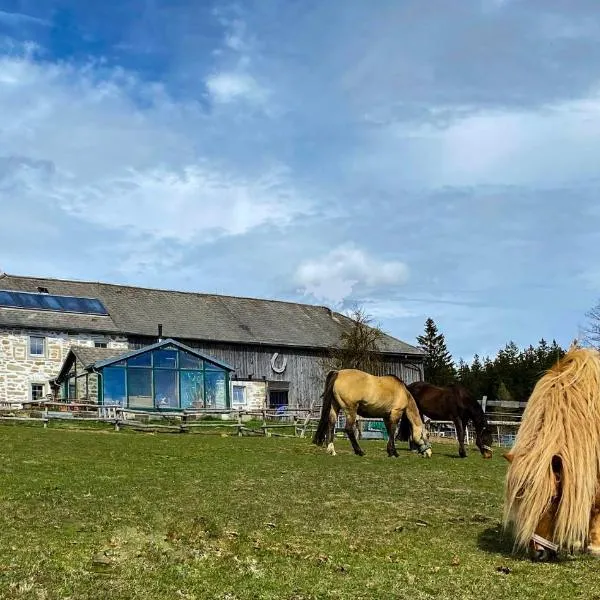 Bio-Bauernhof, Pferdehof Gräser, hotel a Viehberg