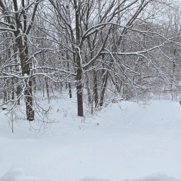 Tranquil Cottage Retreat in Prince Edward County, hotel a Demorestville
