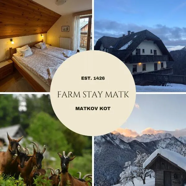 Kmetija Matk – hotel w mieście Solčava