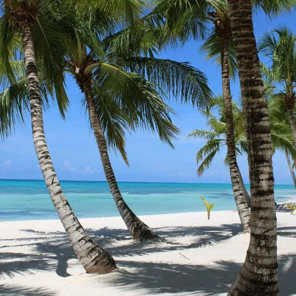 DUCASSI SUITES STUDIOS Vacation HOTEL - Bavaro Beach CLUB - WIFI - PARKING, ξενοδοχείο στην Πούντα Κάνα