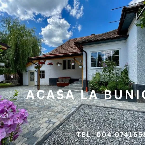 Acasa la Bunica, Cheile Turzii, Hotel in Petreştii de Jos